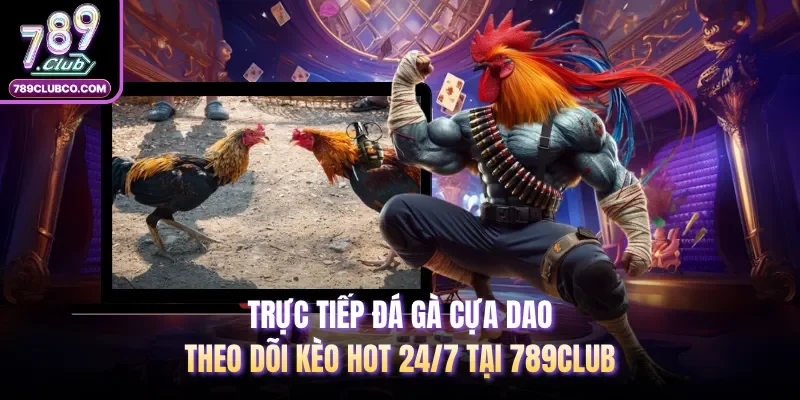 Trực Tiếp Đá Gà Cựa Dao | Theo Dõi Kèo Hot 24/7 Tại 789Club
